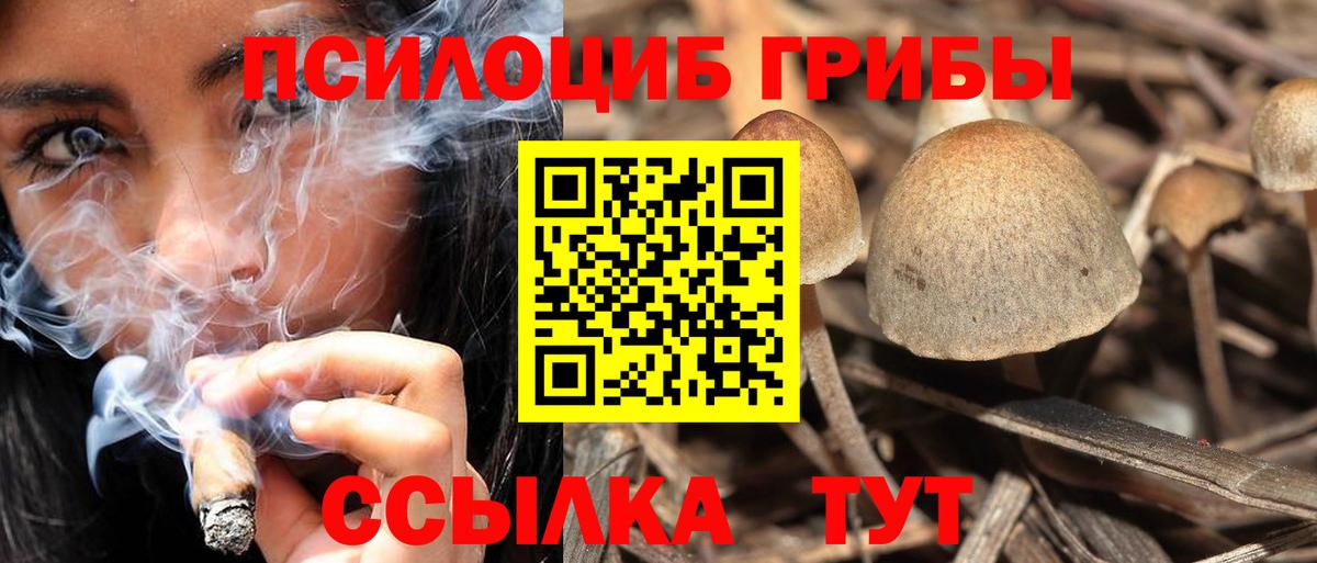Псилоцибиновые грибы мухоморы Луховицы
